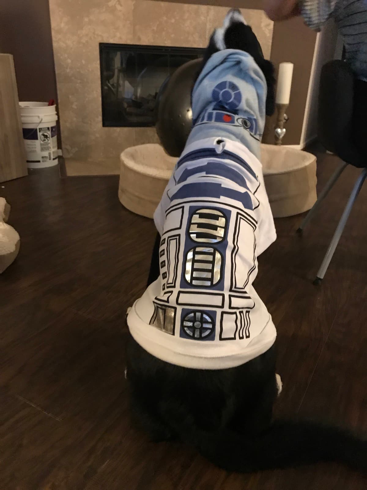 Schubert wearing a cute R2-D2 outfit.